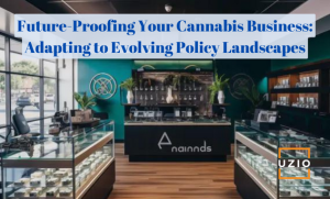 Crafting a Cannabis Business Model Resilient to Policy Shifts