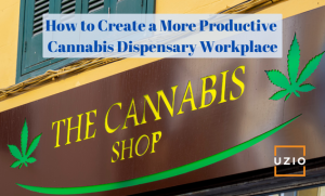 How to Improve Employee Productivity in Your Cannabis Dispensary?