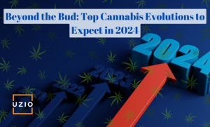 Top-7 Cannabis Trends to Watch out for in 2024