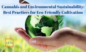 Cannabis and Environmental Sustainability: Best Practices for Eco-Friendly Cultivation